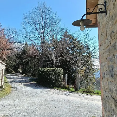 Casa Paradiso - *